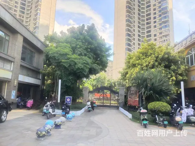 （51旺铺推荐）龙华区恒大外滩25平铺面直租 - 图片 5