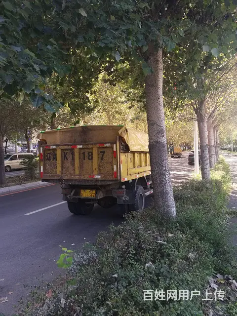 时代金刚 自卸车 国3个人户719 - 图片 5