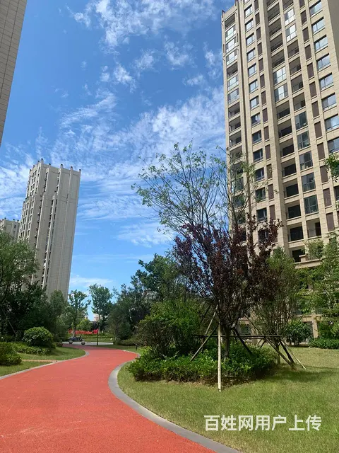 错过了南坊，别再错过南海 - 图片 3