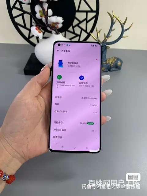 【搞定了！】OPPO fandx3 摄影师限量版 - 图片 4