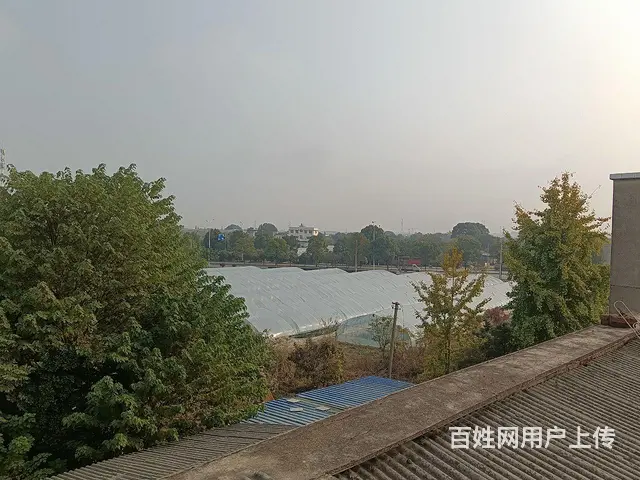 4亩场地出租 - 图片 12