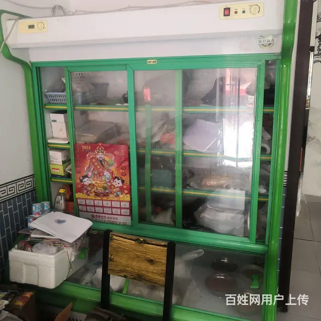 保鲜冷冻柜500甩了 - 图片 1