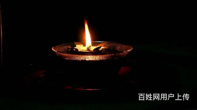 用心付出 - 图片