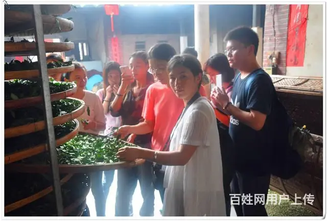 天晟茶艺培训学校有分校吗? - 图片 10