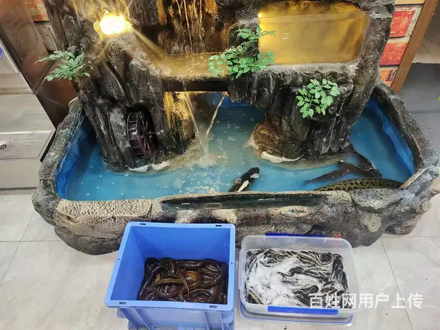 【搞定了！】临街店铺 客流量大 生意好做 有想法的随时来看 - 图片 8