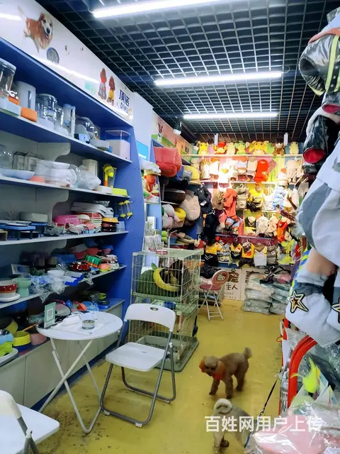 【搞定了！】道里 顾新路 大发 生活服务宠物店 出兑转让 - 图片 5