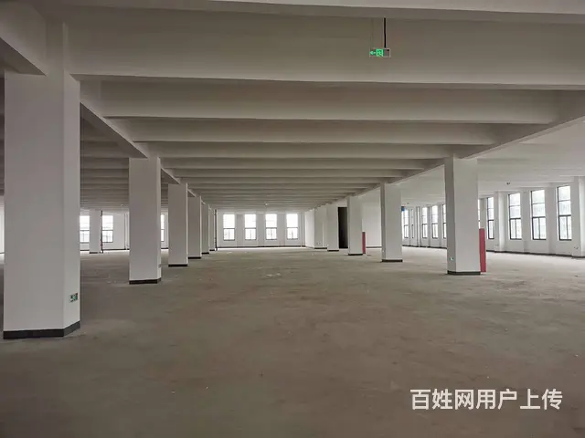 碧溪沿江开发区全新1至3层共10000平，5吨货梯，场地大。 - 图片 6
