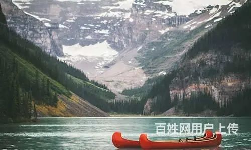 2025美国人才移民找谁办？移民内参网让移民变简单 - 图片