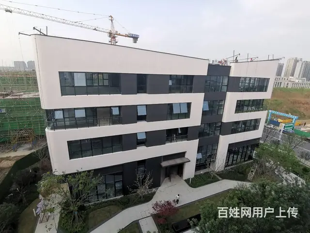 大蜀山旁 长江西路地铁口 四层独栋总部 办公楼宇  高赠送 - 图片 4