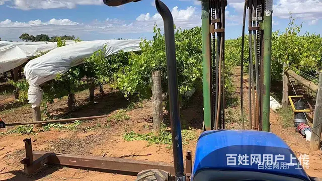 石家庄高薪急招挪威包装工月薪上万 - 图片 3