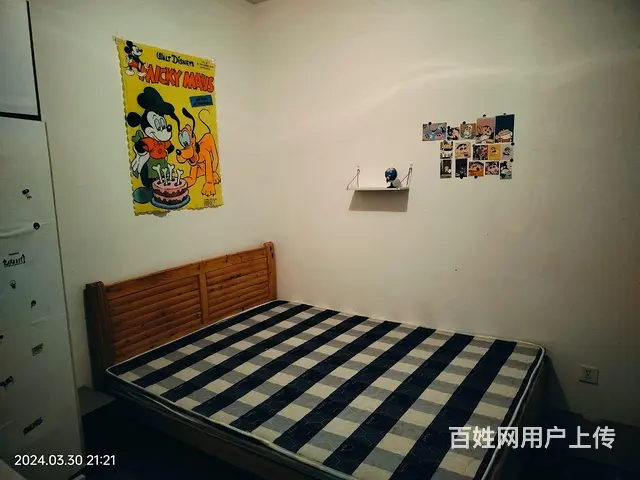 温江国色天乡春江里房屋出租 - 图片 3