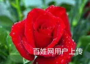 朝辉小区 普通住宅2厅 精装修 - 图片 1