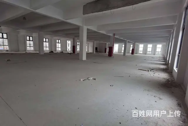 尚湖练塘全新独栋4层，每层1550平，可分租，配套设施齐全。 - 图片 2