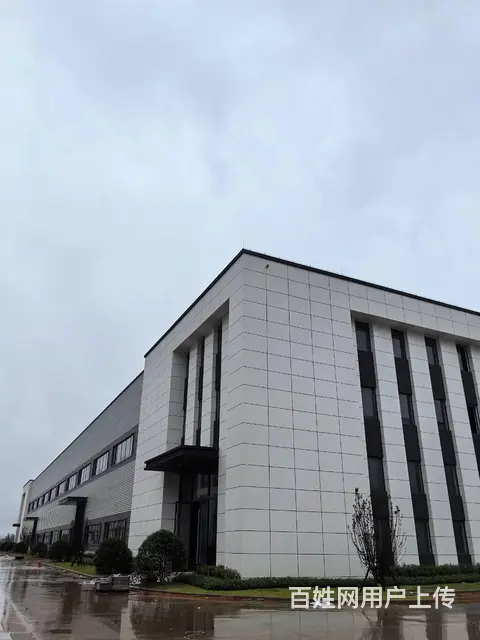 黄花机场东单层12米钢结构现房租售，以租代售 - 图片 4