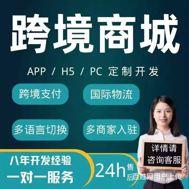 跨境电商系统开发多语言切换多商家入驻 - 图片 2