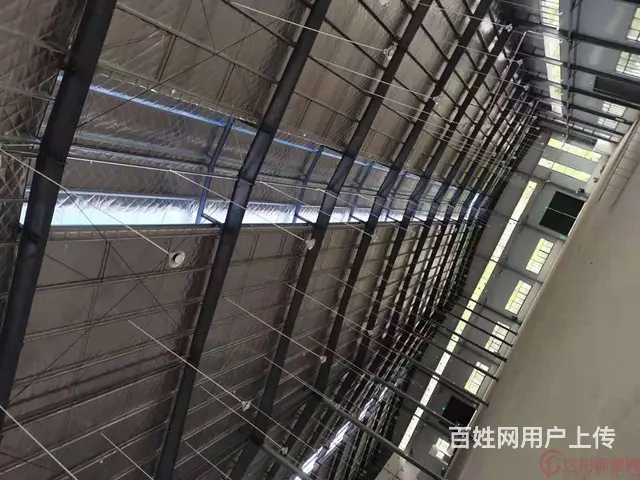 （达州铺源网）通川区蒲家镇4000㎡厂房出租（可分租） - 图片 2