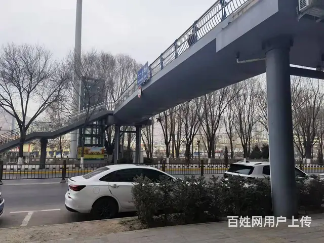 7404(七P)个人城中区七一路小学后门蔬菜水果店带生意转让 - 图片 2