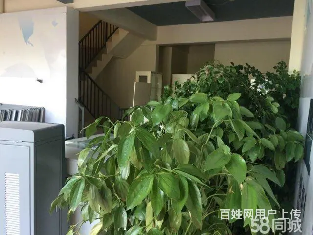 万达独栋别墅写字楼出租 - 图片 6