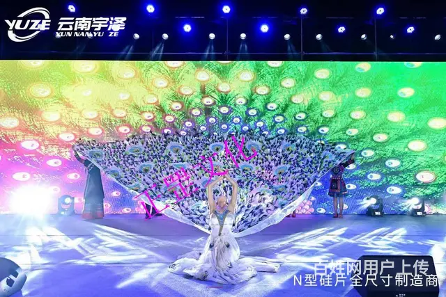 活动策划、舞美搭建、灯光音响、礼仪模特、演出表演 - 图片 3