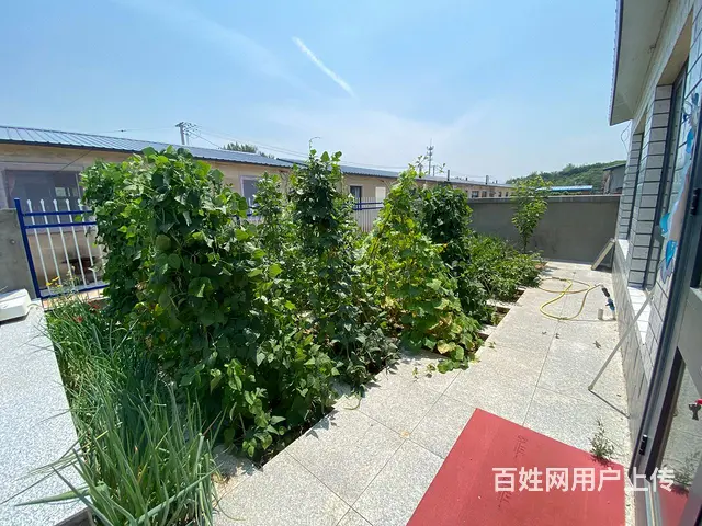 龙城区新建房休闲小院 - 图片 9