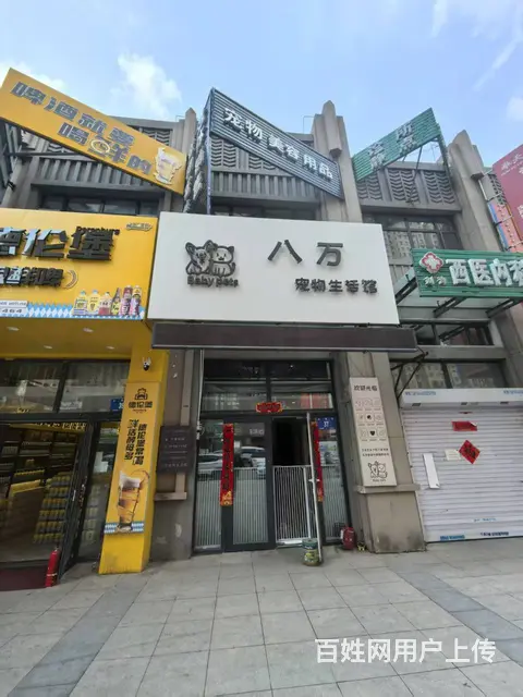 宠物用品店出兑  能寄养 - 图片 1