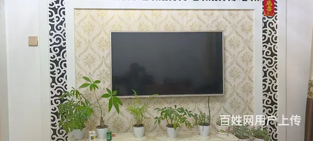 12.5万 - 图片 1