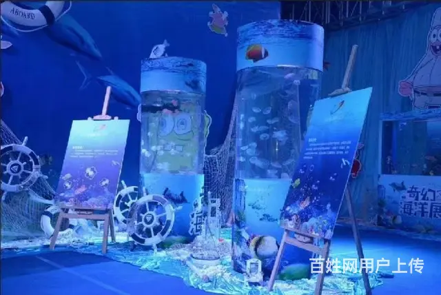 提供海洋展海狮表演海底观赏水母展 - 图片 5