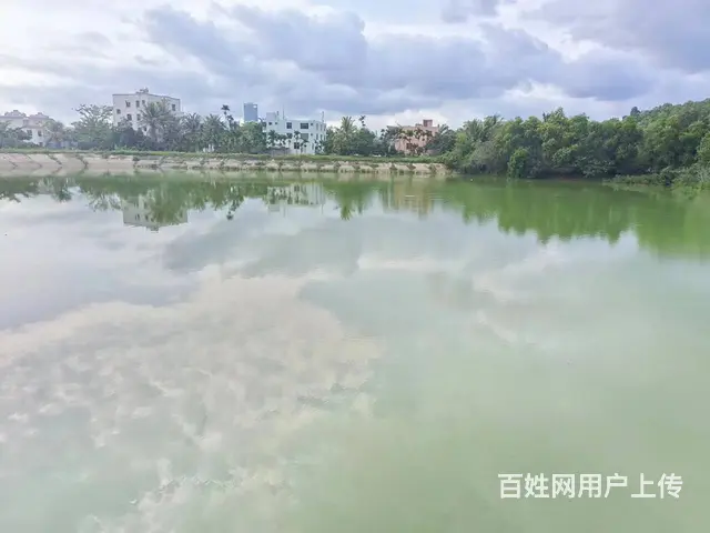 （51旺铺推荐）荔枝沟花神谷生态园鱼塘及场地招合作伙伴 - 图片 6