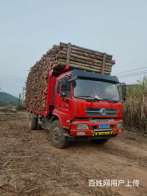 东风 自卸车 国5 - 图片 4