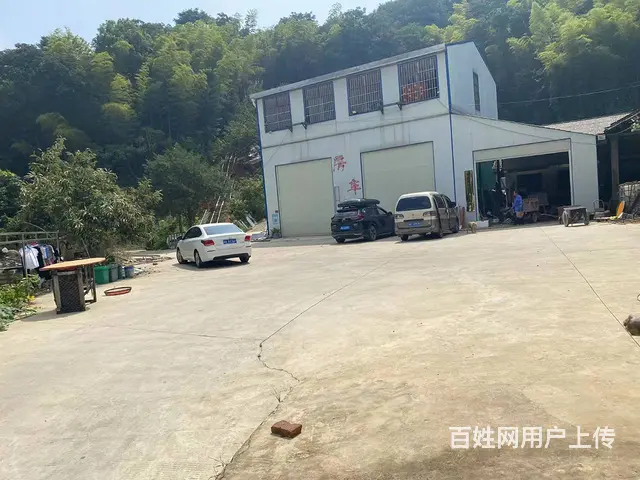 （房东直租）金洲大道380➕300平米两栋厂房带1000空地 - 图片 3