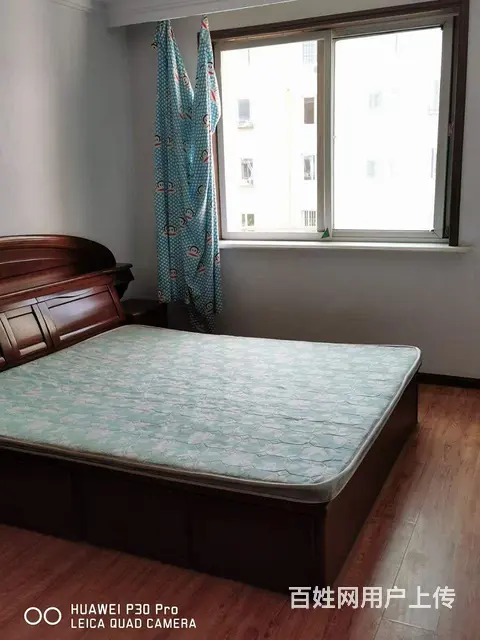 整体出租房屋 - 图片 4