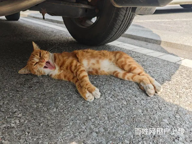 40岁，183高，公务员 - 图片