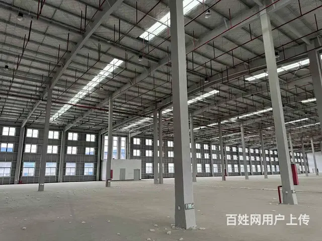 （城市在线找房免费）时代大道丙二类标准厂房出租 - 图片 10