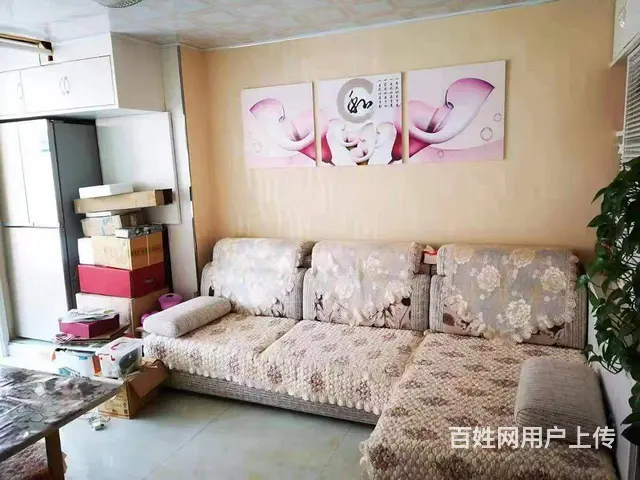 胜利小学三中学区多层三楼 精装修 拎包入住 - 图片 1