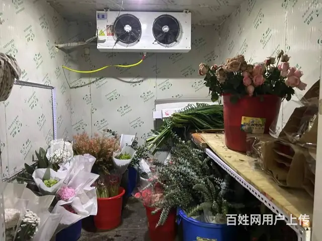 （兴铺）市中心鲜花批发零售店带生意整体转让 - 图片 7