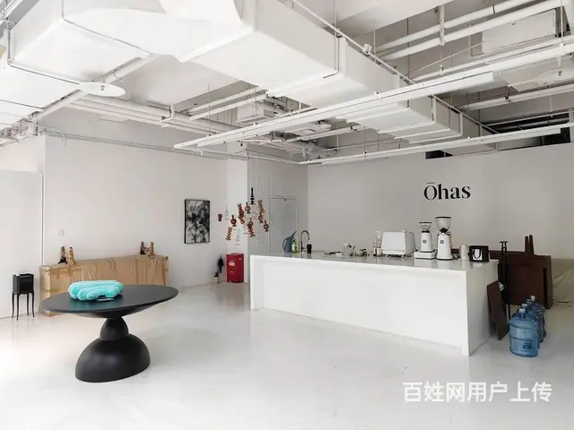 省体育馆旁！商业可打店招！整层大开间！摄影展厅艺术风格！ - 图片 8