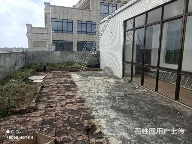 （51旺铺推荐）文昌铺前镇900平整栋楼招租 - 图片 10