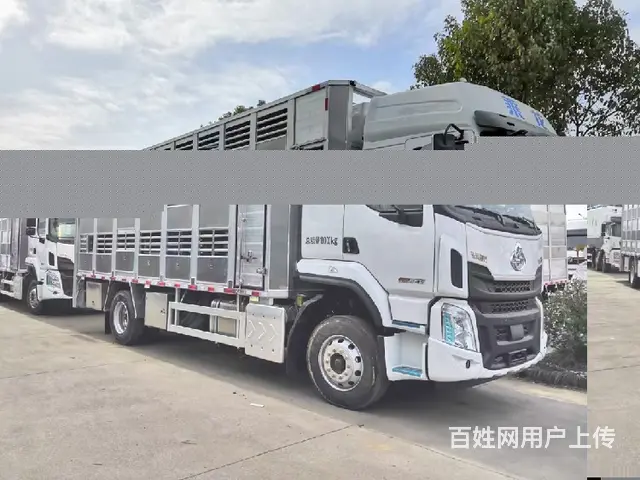 猪苗畜禽运输车厂家直供 - 图片 3