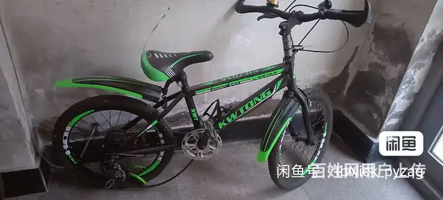 【搞定了！】儿童自行车20寸，闲置出售 - 图片 1