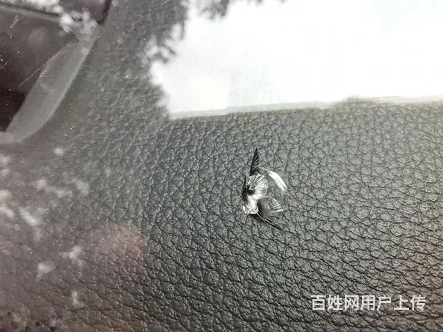 崇州汽车挡风玻璃要及时修补 大家一致的选择 - 图片 2
