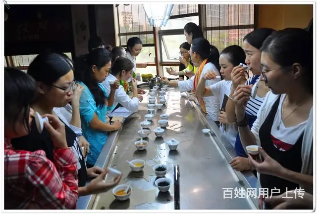 茶艺师资格证怎么考 - 图片 8