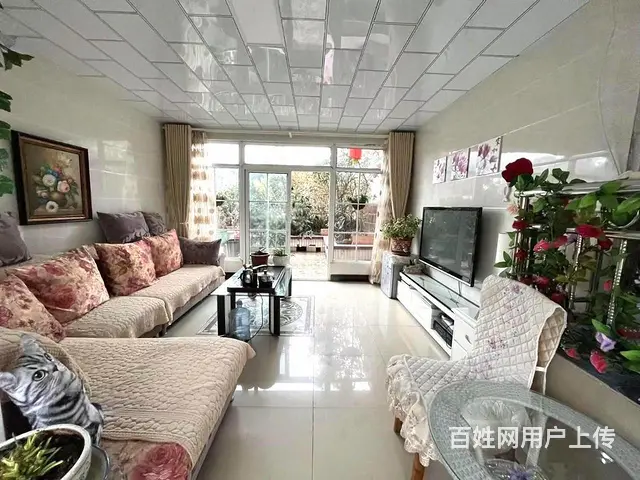麻园路老十小附近精装四室带楼顶大花园家具家电打包出售 - 图片 2