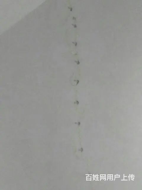 揭西防水补漏，价格实惠 - 图片 3