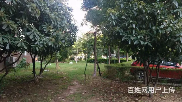 洪山周边超值好房便宜出租了！急急急！ - 图片 12