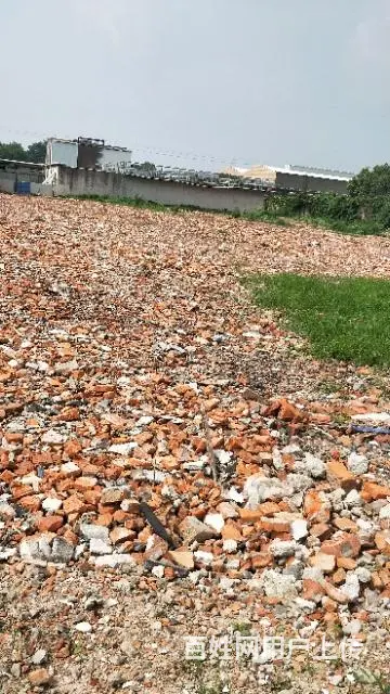 千灯空地出租可分租 - 图片 2