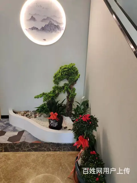 转让浉河八一路临街门面 - 图片 10
