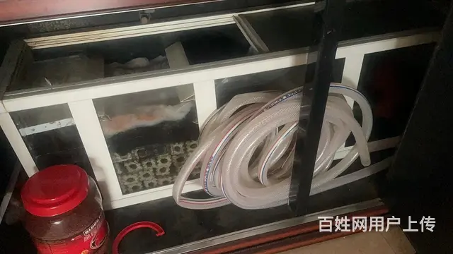 【搞定了！】4年的鱼缸 - 图片 5