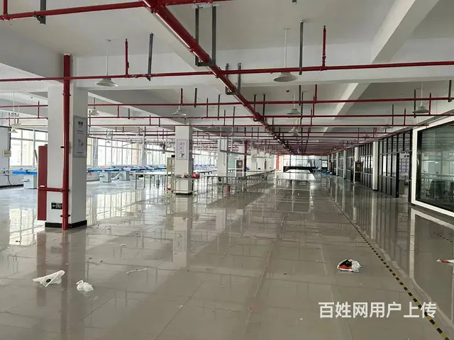 织里厂房招租（大港宝隆园区） - 图片 2