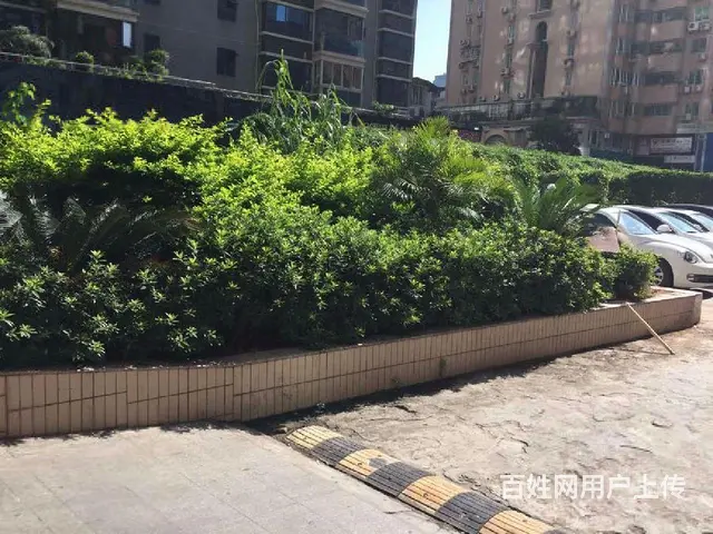 协成通商 正规三房＋个书房 房子很通透采光好 户型方正高楼层 - 图片 11