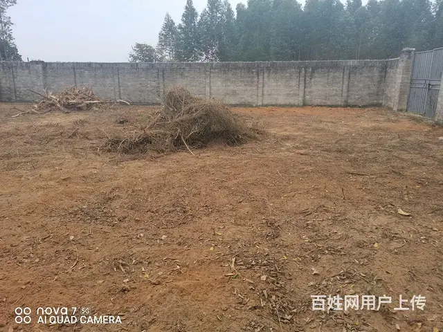 出售商业用地（含房） - 图片 2